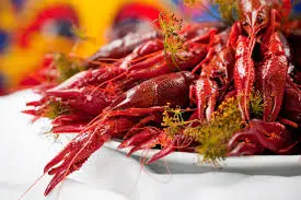 20270809 Crayfish quiz